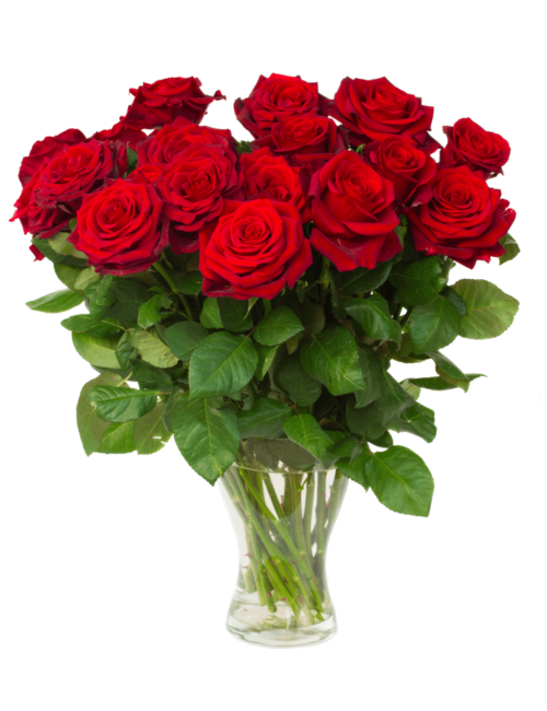 red-roses