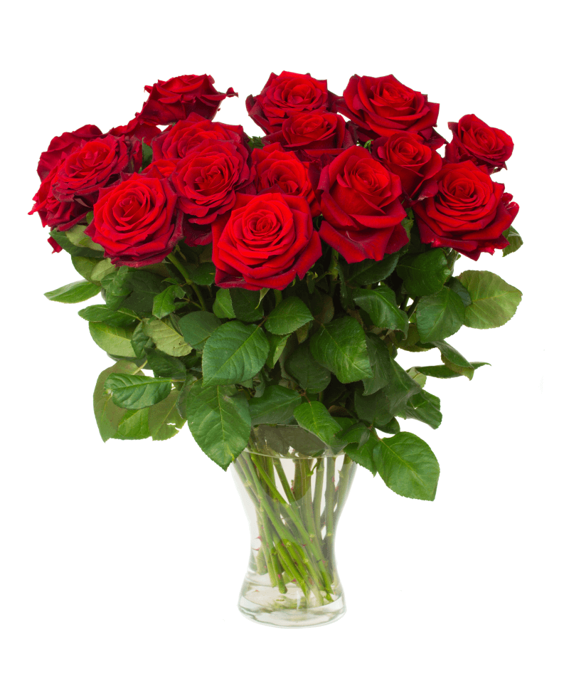 red-roses